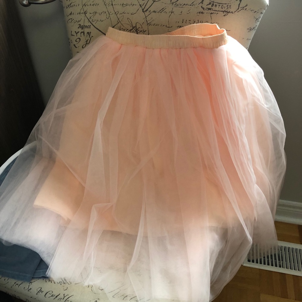 Bluish pink signature Céline in flamingo tutu